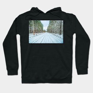 January Snow Day Hoodie